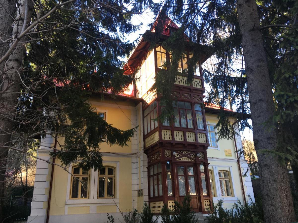Vila Flavia Sinaia Exterior foto