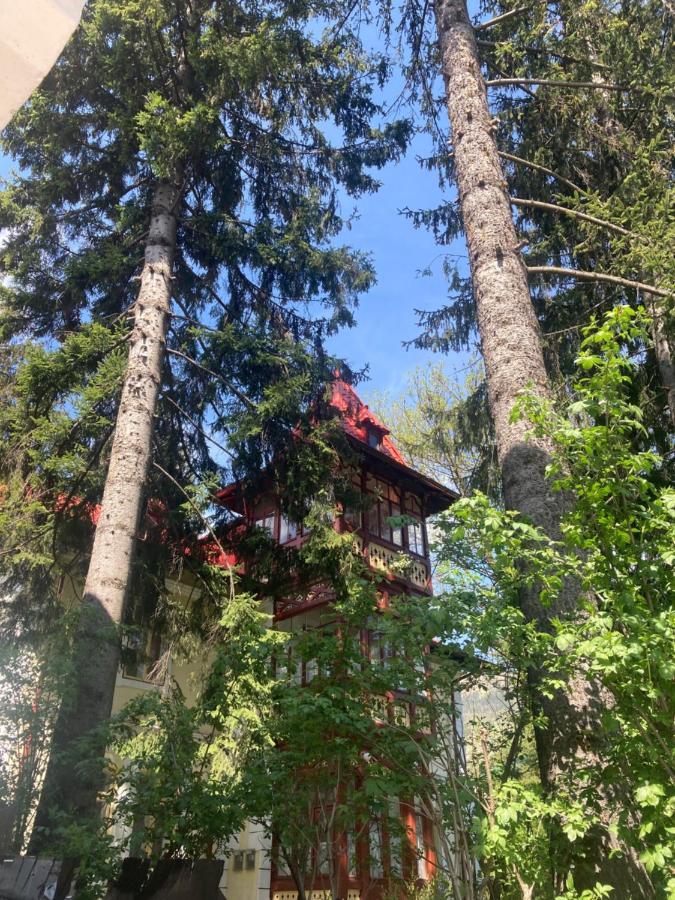 Vila Flavia Sinaia Exterior foto